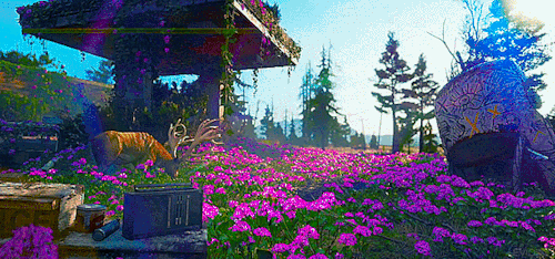 tumblr_pje5pbJQwZ1wsm2ado1_500 (1).gif tumblr_pje5pbJQwZ1wsm2ado1_500 (1).gif