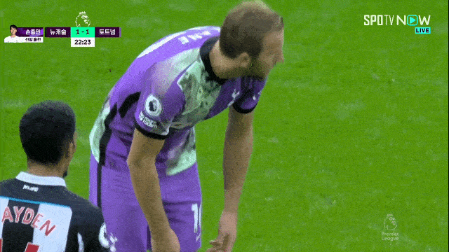축하받는 태풍이.gif