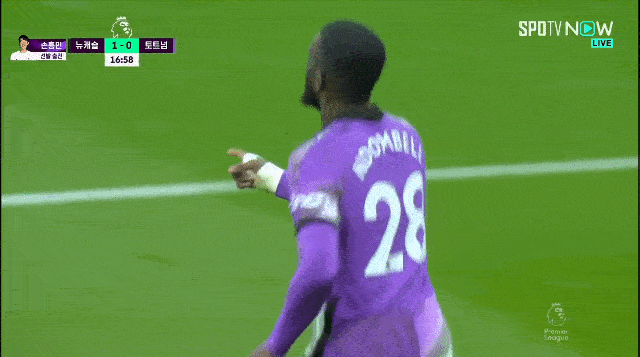 축하받는 은돔이.gif