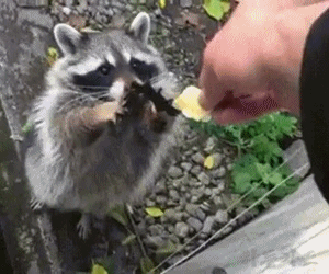 60D96B53-3AF4-4069-91E4-77E208B0A9F0.gif