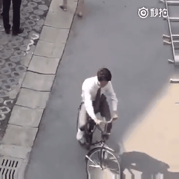 z1.gif