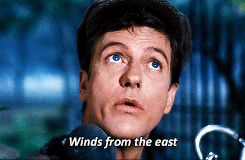 tumblr_n7fkhwVCwE1qjoke8o4_250.gif tumblr_n7fkhwVCwE1qjoke8o4_250.gif