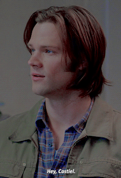 1631358402679.gif 1631358402679.gif