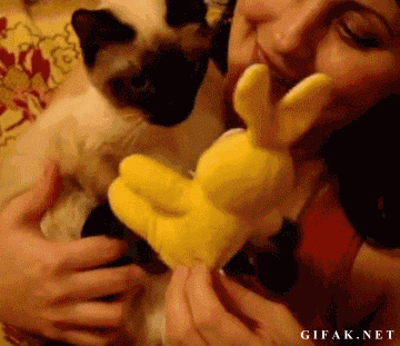 2ea2f34f00583f4e3f3dcc86395b4c6b.gif 2ea2f34f00583f4e3f3dcc86395b4c6b.gif
