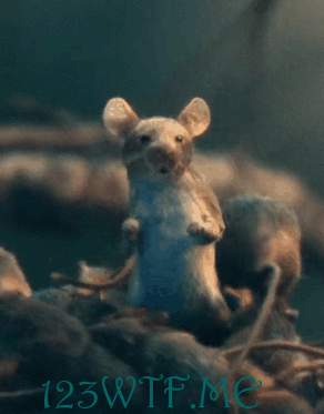 3787a6dd49c7b95ca68dc60b4dfc8370.gif 3787a6dd49c7b95ca68dc60b4dfc8370.gif