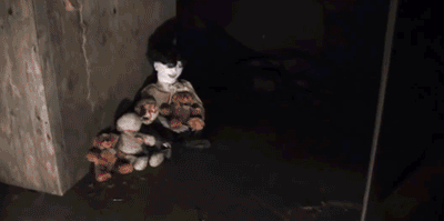 cbf4d3e2494744561c99e473947a4a51.gif cbf4d3e2494744561c99e473947a4a51.gif